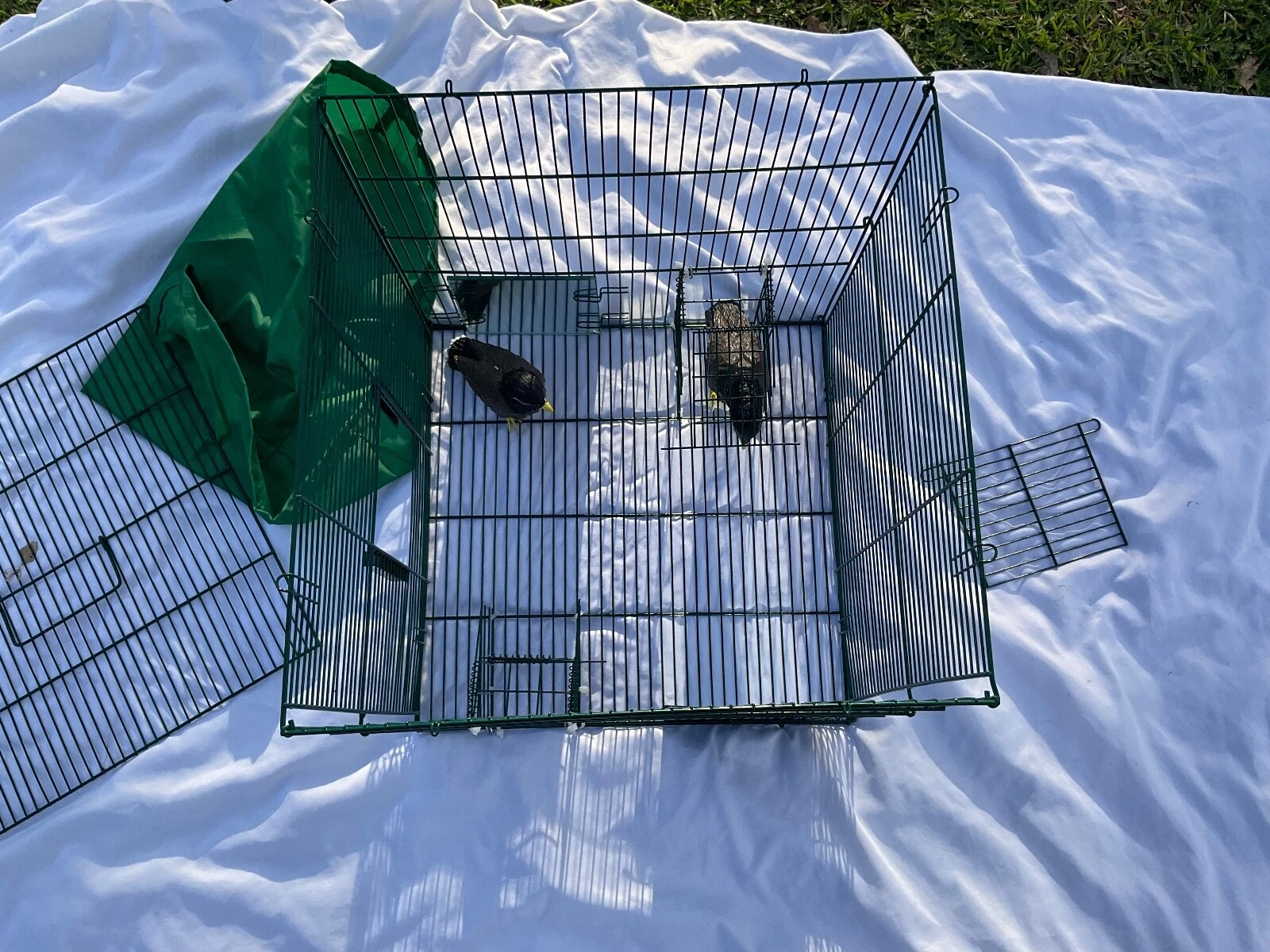 Picture 10 of 24