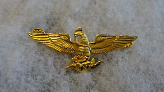 MILITARY BADGES MEXICO