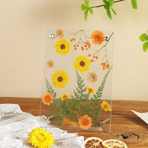 Clear Flowers Frame Ree Clear Acrylic Picture Frame Dried Flower Frame DIY Art Crafts 6 inch ...