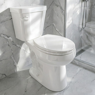 HOROW 17Inch Two Piece Toilet 1.28 GPF Single Flush MAP 1000g ADA Chair Height