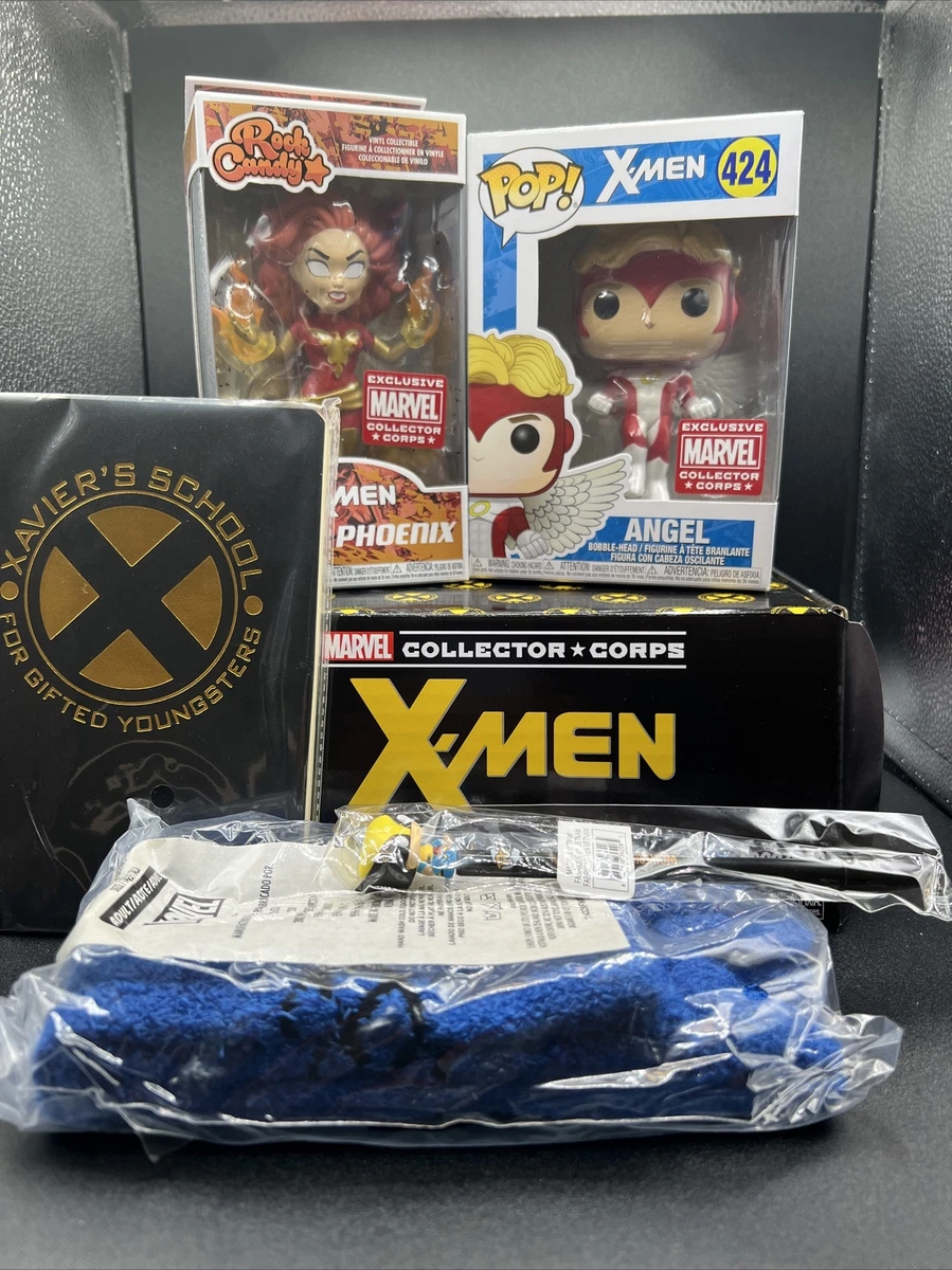 Funko collector best sale boxes