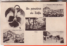 CARTOLINA TOLFA  FP  VIAGGIATA  1946 PENSIERO VEDUTINE CON FIORE