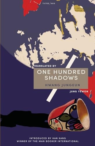 One Hundred Shadows by Hwang Jungeun PAPERBACK 9781911284024 - Image 4