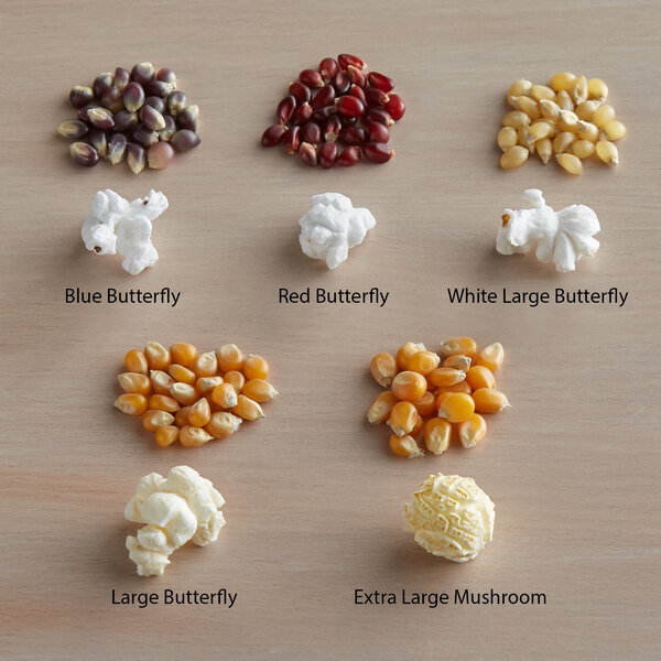 white butterfly popcorn