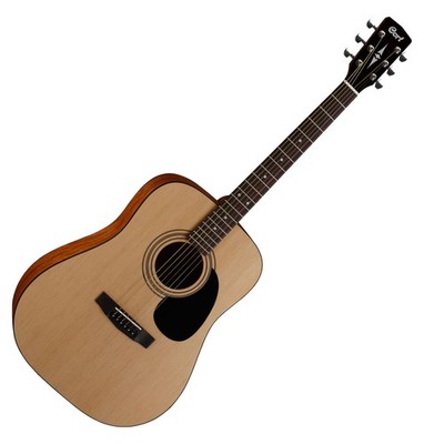DEFEKT Cort AD810 Open Pore Dreadnought Akustik Western Gitarre Fichte Mahagoni