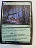 Shifting Woodland - Modern Horizons 3 MTG