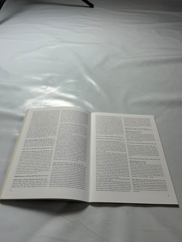 DSA Das schwarze Augen Das Herzogtum Weiden Spielhilfe SH - Heft - Bild 5 von 7