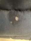 Picture 5 of 7
