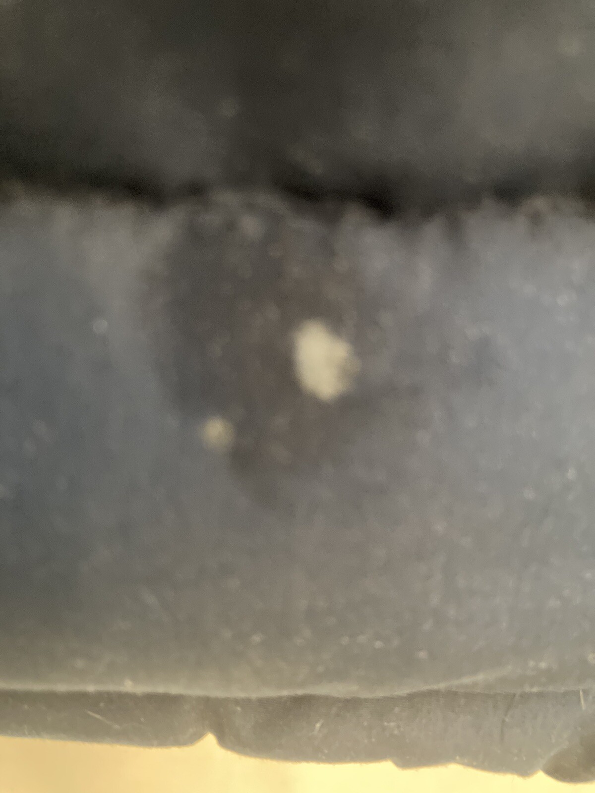 Picture 5 of 7