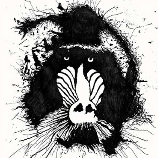 Feral Ohms Feral Ohms (CD) Album