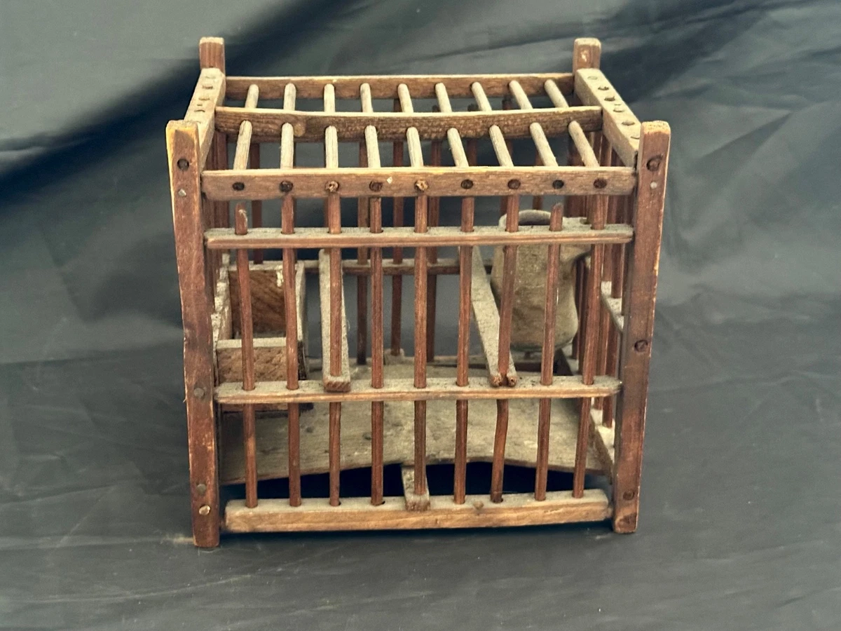 Science & Medicine Antiques for sale | eBay