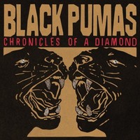 Black Pumas - Chronicles Of A Diamond Clear Vinyl - Vinyl Record - G3Z