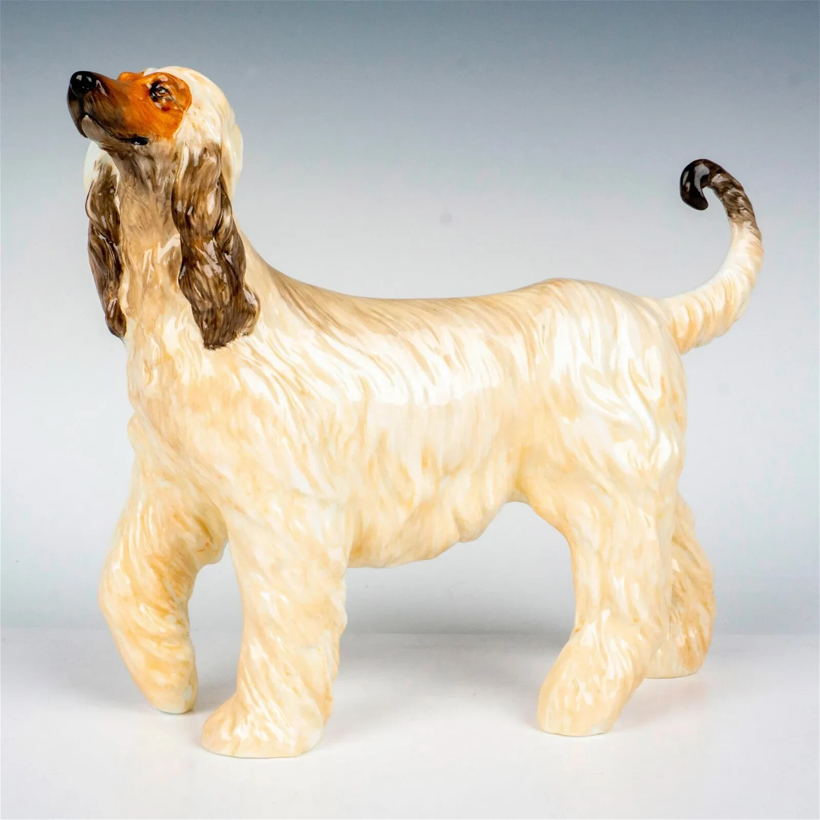 Royal Staffordshire Figurine, Afghan Hound