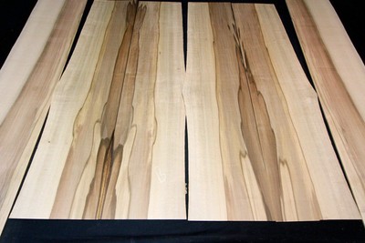 blackheart sassafras guitar