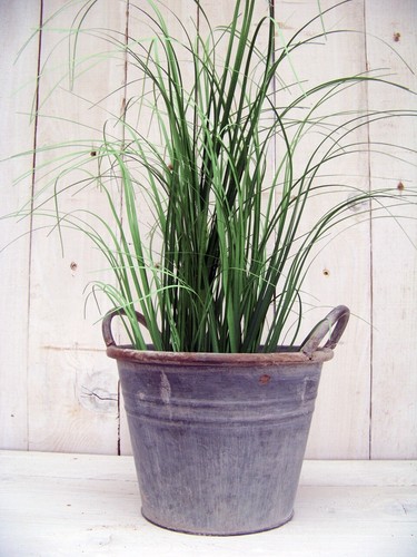 Zink Pflanzkübel Übertopf Blumentopf mit Griffen Shabby Nostalgie Eimer - Bild 2 von 4
