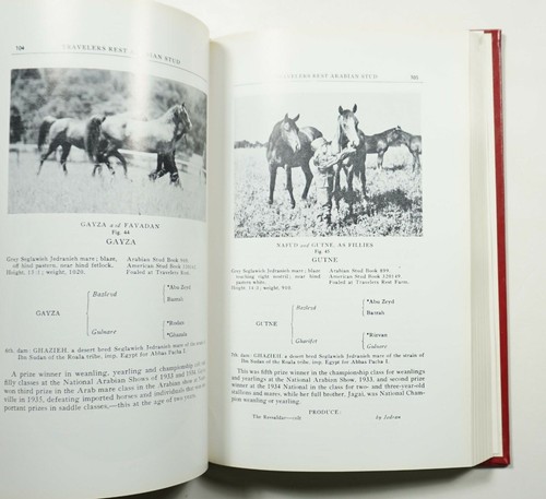 A Catalog of Travelers Rest Arabian Horses 1988 Dickinson Lineages Pedigrees HC - Picture 6 of 8