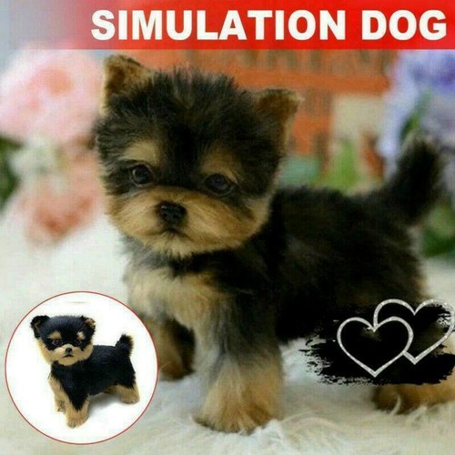 Jouet de simulation réaliste Yorkie chiot chiot en peluche réaliste neuf avec étiquette - Photo 2 sur 8