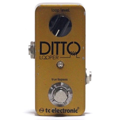 tc electronic DITTO LOOPER GOLD (Limited Edition) Made in Thailand Effektpedal