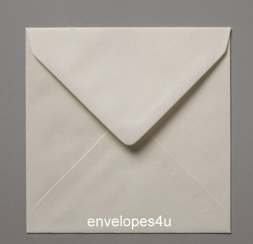 Buste 100x100 mm (sotto 4x4") quadrate marroni a costine, macchia kraft, bianche e avorio - Foto 5 di 6