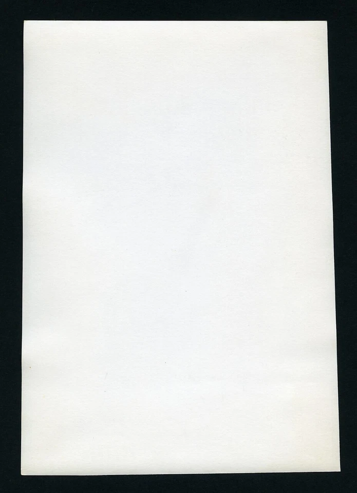 Larger size Vintage fine art Photograph, abstract Photogram by Jenő Sevcsik, - image 2 of 2