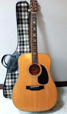 Morris Tf W50 Folk Guitar Acoustic | eBay