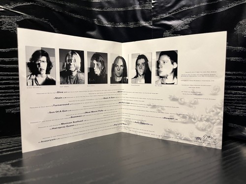 Nirvana – Incesticide (US, 1992, DGCD-24504, Compilation, Club Edition) CD - Picture 11 of 19
