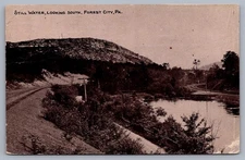 Still Water Reservoir Looking South Forest City PA Pennsylvania Postcard L8