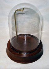 Walnut Wooden Wood Base Gold Tone Metal Pocket Watch Display Dome Case Holder