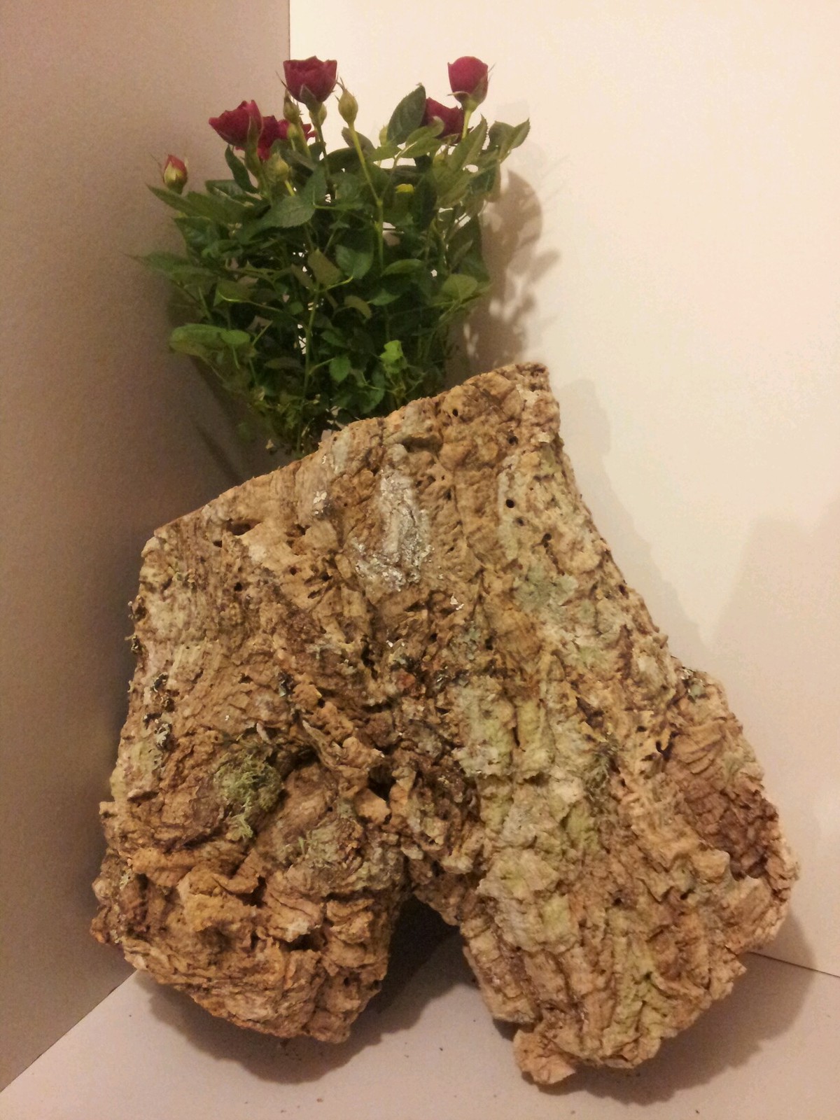 1kg FLORISTRY CORK BARK FLORIST FOAM ARTIFICIAL DRIED FLOWER ARRANGING