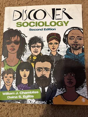 Discover Sociology by William J. Chambliss and Daina S. Eglitis (2015, Paperbac 