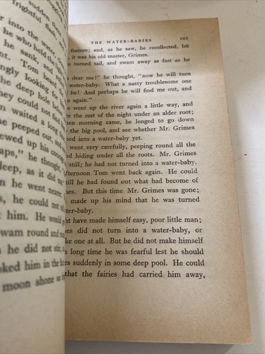 Libro de bolsillo de The Water Babies Charles Kingsley Biblioteca Martyn - Imagen 3 de 9