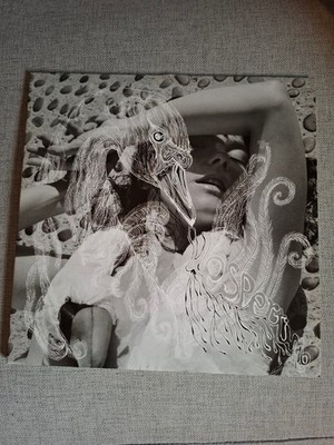 Bjork - Vespertine Limited Edition White Variant Vinyl 2x LP NM | eBay