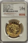 2023 American Liberty High Relief Gold NGC PF69 Ultra Cameo FDOI ANA