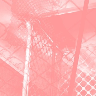 PINKCOURTESYPHONE All Intensive Purposes Music CDs New