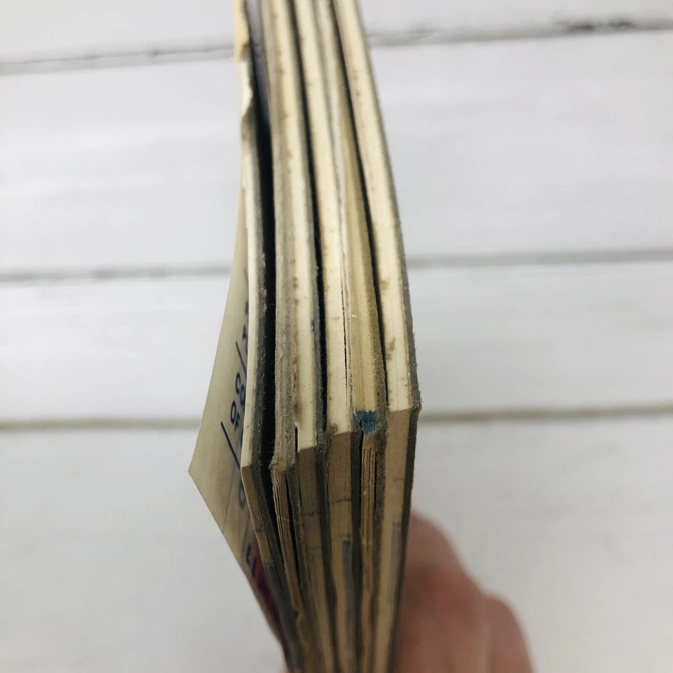 Almohadillas de puntuación Yahtzee y Triple Yahtzee de colección instrucciones cientos de hojas Foto 4 de 4