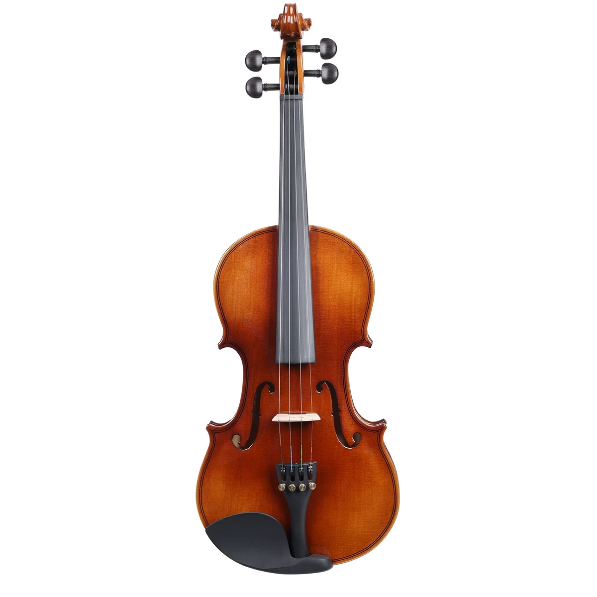 Axiom violin discount