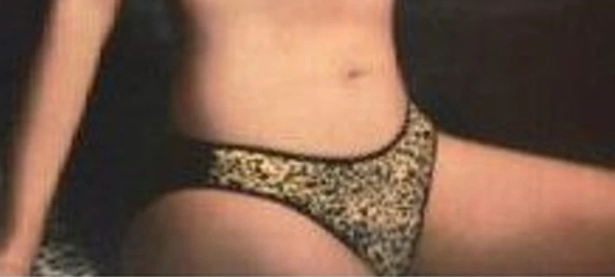 A0564 Wacoal NEW 84880 Women's Brown Out Of Africa Boa Printed Sheer Mesh Bikini - Image 2 of 4