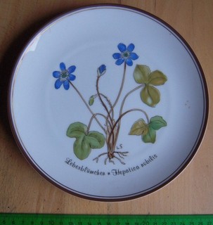 Rosenthal Teller Loki Schmidt Nr.6 Leberblümchen ClassicRoseCollection