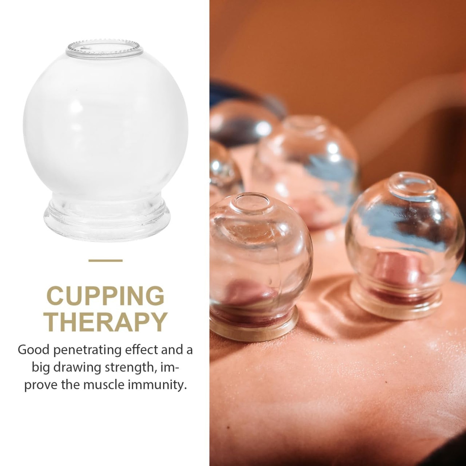 Healifty 6Pcs Cupping Therapy Sets: Glass Fire Thick Glass Cupping Set Chines...