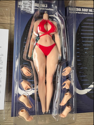 VERYCOOL VCD-03A 1/6 Fullness Body Platinum Silicone Body（NO details）