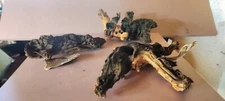 driftwood Mopani  medium ,1 Piece Perfect for moss, java ferns, buce, Anubias
