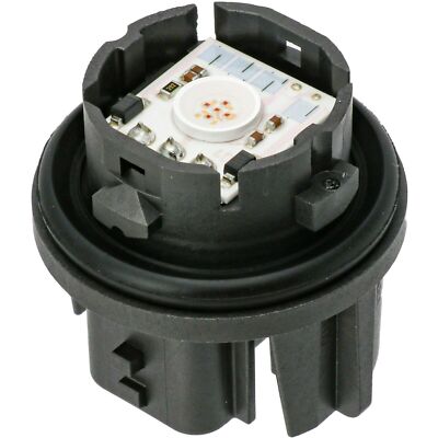 サメ imgrc0104316804.jpg