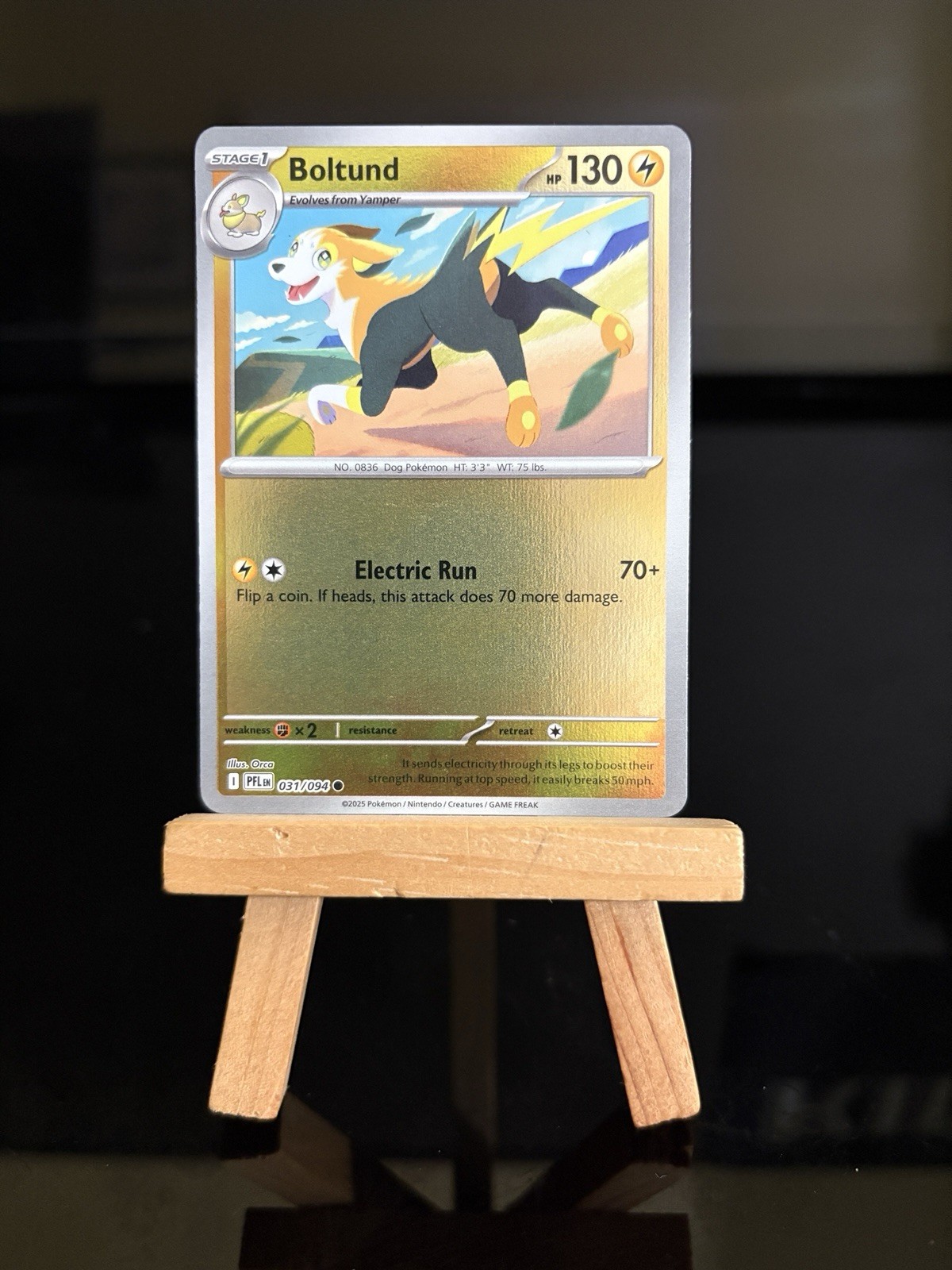 Boltund 031/094 Me02: Phantasmal Flames Reverse Holo NM Pokemon TCG Card