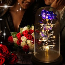 Preserved Eternal Rose flower rose everlasting rose flower gift with Led Light