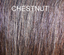 Horse TAIL Extension New 1/2lb 36 By KATHYS TAILS Choice Of Color. Free Bag