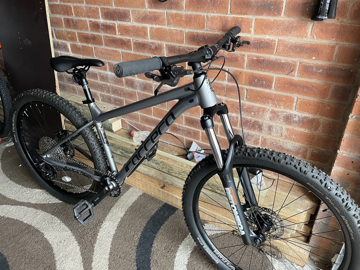 Carrera sales sulcata ebay