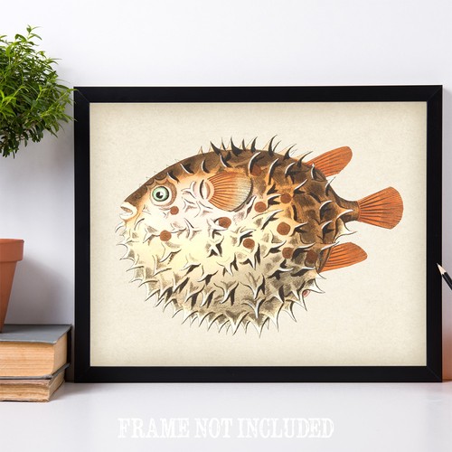Puffer Fish Print - 11x14 Unframed Art Print - Great Lake House, Beach House - Picture 8 of 9