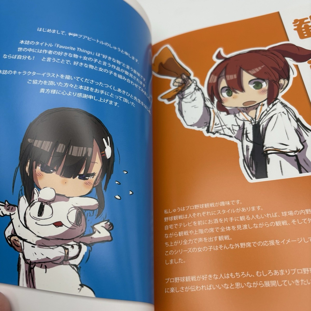 Doorbeetle Reco & Mani Dojin & Favorite Things 4 Set