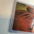 Bild 9 von 13
