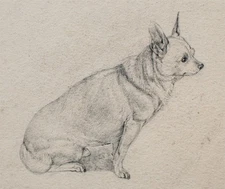 Dog Animal Study Animal Painting Unique Unsigned Pencil Drawing Circa 1800